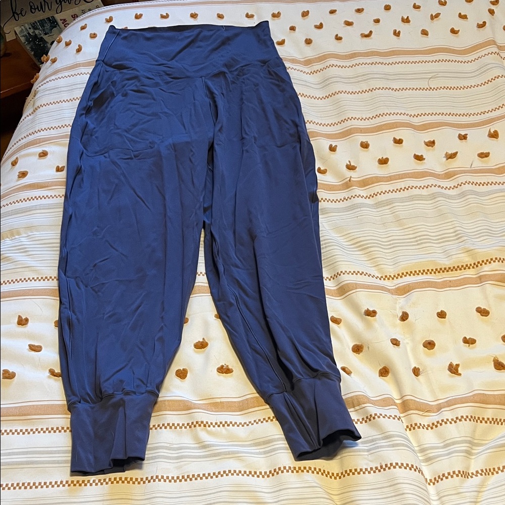Aerie Blue Leggings